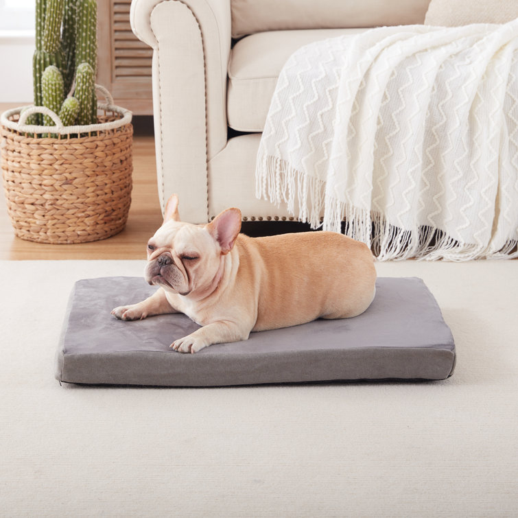 Weather resistant clearance dog bed